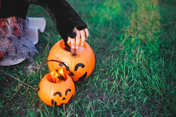 Foto op Plexiglas a child's hand reaches for candy in a pumpkin-shaped candy basket © Aleksandra Iarosh