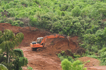 Deforestation of rainforest. Environmental problem. destruction of forest.  Indian forest destroyed...