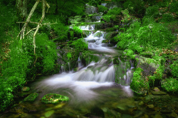 Obraz premium Nature wild waterfall