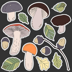 Mushrooms, acorns, and leaves stickers isolated on dark. Set of autumn illustration for weekly or daily planner and diaries.  The concept of fall, the gifts of the forest.