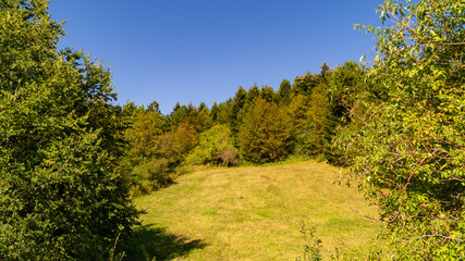 Scorcio lungo il sentiero 109 AG da Poggio San Romualdo a Castelletta