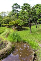 日本庭園 松 草 池