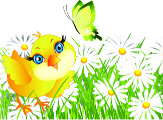 Background with daisies and chicken.