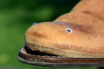 Close-up and detailed shot of an old leather shoe against a green background, on which eyes were glued and the sole of which forms the mouth