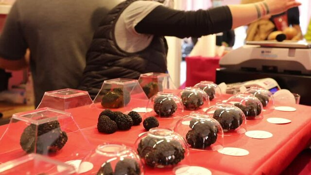 Alba truffle market - trader weighs the truffles sold to customers