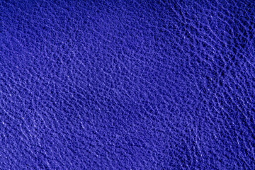 Texture of natural blue skin, macro. Background.