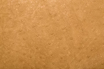 Zelfklevend Fotobehang Skin texture ostrich beige. Background © Arina B