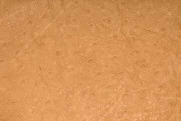 Skin texture ostrich beige. Background