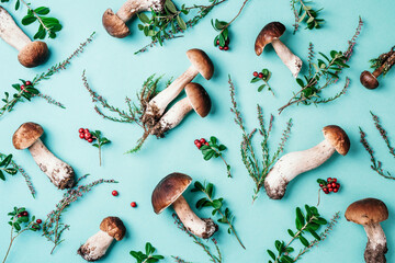 Forest boletus mushrooms on blue background. Top view. Creative food pattern. Copy space. Autumn harvest concept. Fresh picked Porcini mushrooms and space for your text