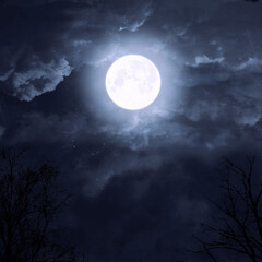 Naklejka na ściany i meble moon on a dark sky