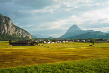 Ebbs near Kufstein in beautiful evening light with grazing cows and freshly fertilized meadow in...