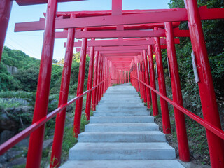 早朝の元乃隅稲成神社