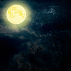 Fototapeta na wymiar moon on a dark sky