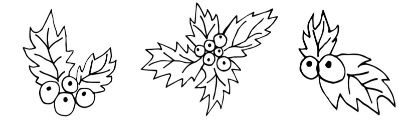 Set of Holly leaves icons in doodle sketch lines. Christmas holly berry icons. Christmas sketch of new year plants. Isolated on a white background. horizontal composition