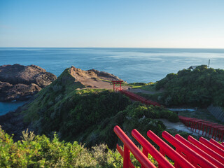 早朝の元乃隅稲成神社