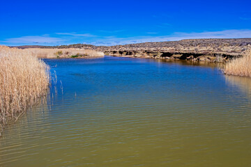 Pool on Riet River in Karoo, Northern Cape
