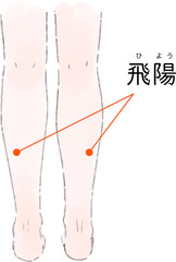 ツボ・経穴「飛陽」の手描き風イラスト