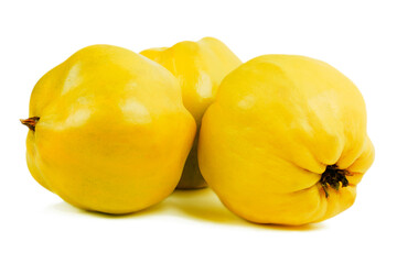 quinces on a white