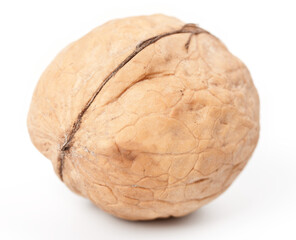 Obraz premium Walnut