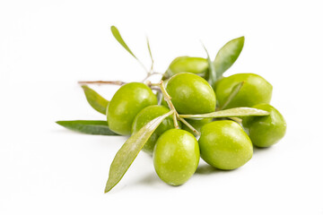 Green fresh olive on the white background