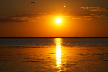 A sunny path from the setting sun on the calm water of the estuary.   