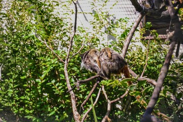 pool, water, hotel, resort, swimming, tropical, blue, swimming pool, travel, vacation, luxury, summer, holiday, palm, sky, tree, beach, relaxation, leisure, sea, relax, sun, tourism, outdoor, house, a