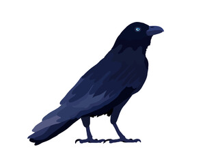 Raven. Crow. Bird. Wings. Beak. Feathers. Vector illustration in flat style.