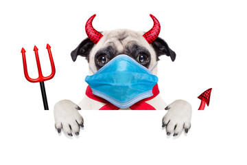 halloween devil dog