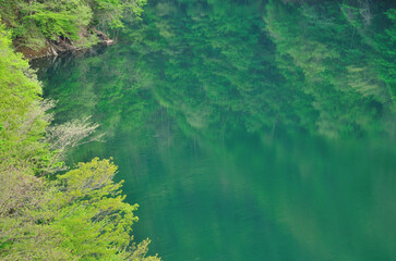 新緑の湖