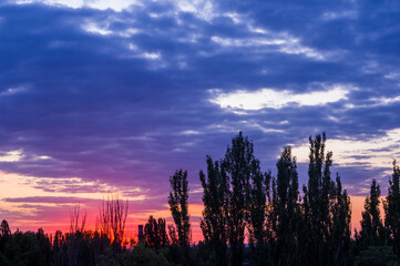 Landscape with dramatic light - beautiful golden sunset with saturated sky and clouds.