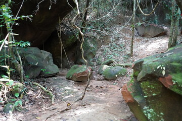 waterfall in the forest
