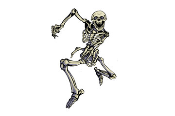 スケルトン「realistic skeleton　on white background」
