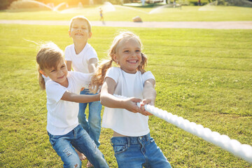 Children play tug of war in the park. A group of cute children playing actively together in nature....