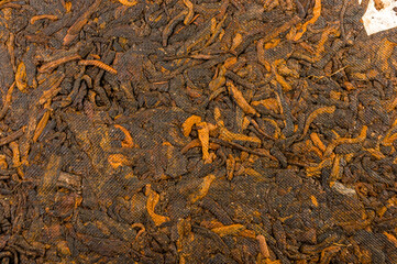 Chinese pressed PU-erh tea on wrapping paper, close-up, macro