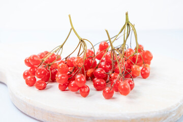 Red berries of Viburnum isolated on white wood background, autumn berry.