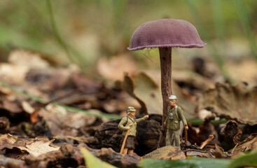 the forest rangers are talking under a mushroom