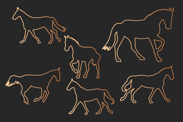 Race horses silhouettes set on dark background