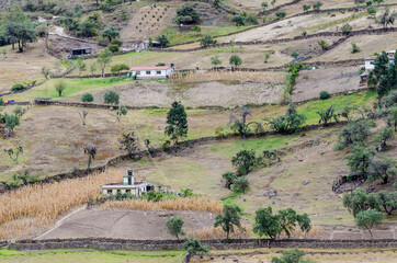 Fototapeta premium Camino de herradura