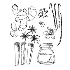 Spice. Ginger, anise, cloves, cinnamon, vanilla. Vector sketch of food in ink on a white background.
