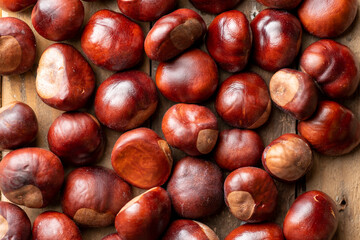 A close up of Horse Chestnuts
