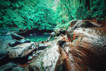 Rocks by Bassin Paradise lagoon in Basse Terre jungle