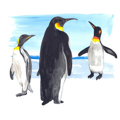 Watercolor illustration of emperor penguins. Perfect for printing, textile, web design, souvenirs, photo albums, scrapbooking and many other creative ideas.