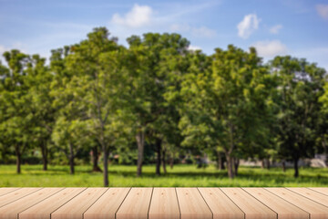 Empty wood plank table top with big trees, green grass, sky and clouds with blur background - For product display.