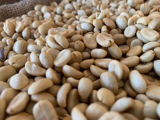 closed up image of green beans coffee, Cherie beans background