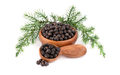 Dry juniper berries with a green branch, isolated on white background. Common Juniper fruits in wooden bowl and spoon.