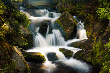 Fototapeta na wymiar water stream in the forest, autumn colorful water, bohemian forest, czech republic