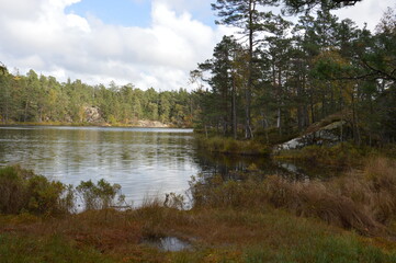 Obraz premium Schwedische Landschaft mit See