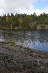 Schwedische Landschaft mit See