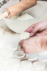 Raw Polish or Russian Dumplings with cottage cheese and potato filling. 