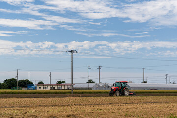 Fototapeta na wymiar Photo of rice harvesting using a huge combine